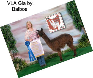 VLA Gia by Balboa