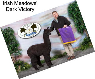 Irish Meadows\' Dark Victory