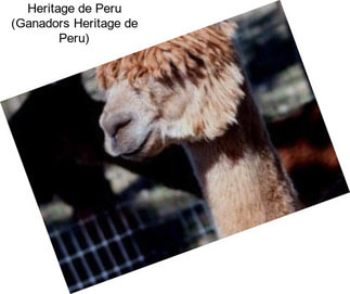 Heritage de Peru (Ganadors Heritage de Peru)