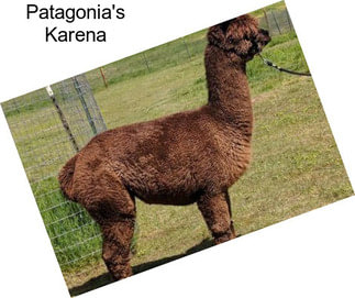 Patagonia\'s Karena