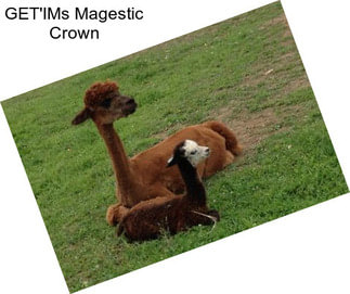 GET\'IMs Magestic Crown