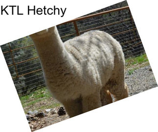 KTL Hetchy