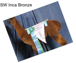 SW Inca Bronze