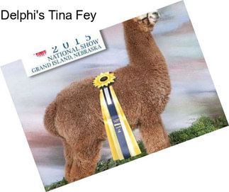 Delphi\'s Tina Fey