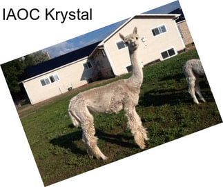 IAOC Krystal