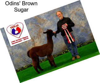 Odins\' Brown Sugar