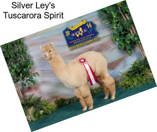 Silver Ley\'s Tuscarora Spirit