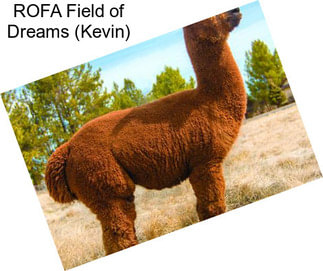 ROFA Field of Dreams (Kevin)