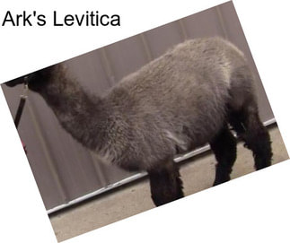 Ark\'s Levitica