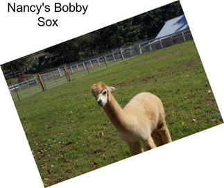 Nancy\'s Bobby Sox