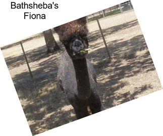 Bathsheba\'s Fiona