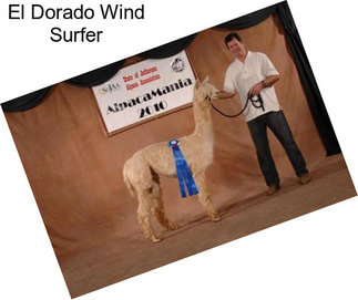 El Dorado Wind Surfer