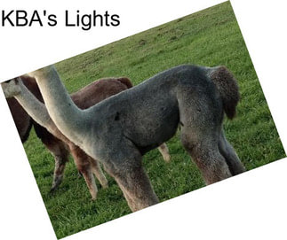 KBA\'s Lights