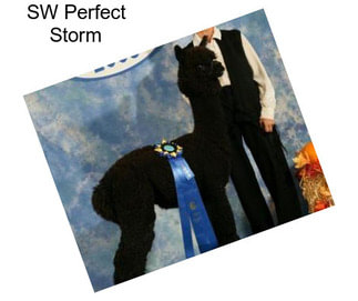 SW Perfect Storm