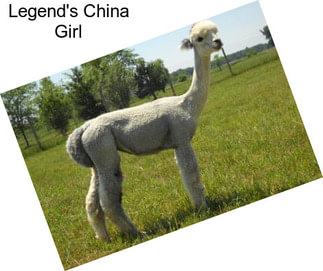 Legend\'s China Girl