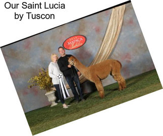 Our Saint Lucia by Tuscon