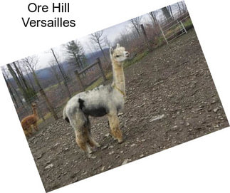 Ore Hill Versailles