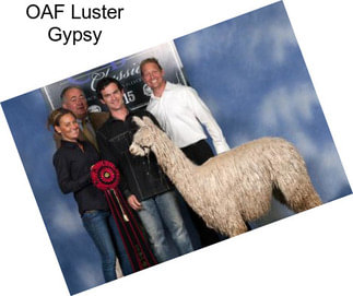 OAF Luster Gypsy