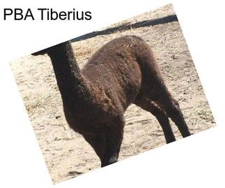 PBA Tiberius