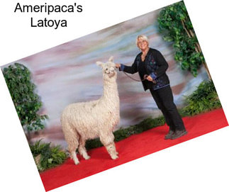 Ameripaca\'s Latoya