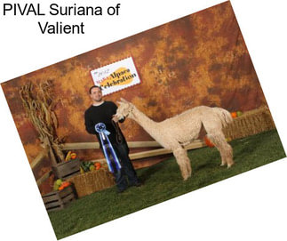 PIVAL Suriana of Valient