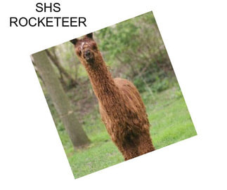 SHS ROCKETEER