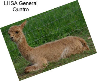 LHSA General Quatro