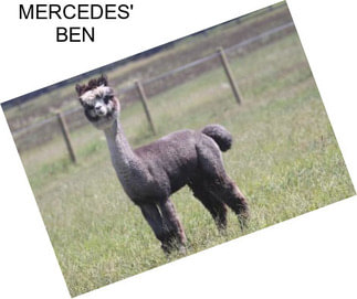 MERCEDES\' BEN