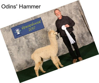 Odins\' Hammer