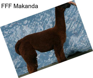 FFF Makanda