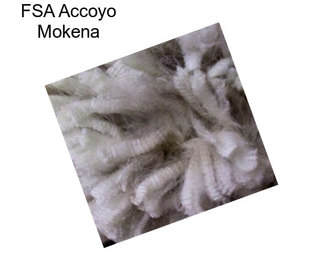 FSA Accoyo Mokena