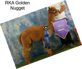 RKA Golden Nugget