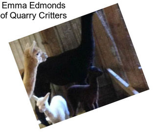 Emma Edmonds of Quarry Critters
