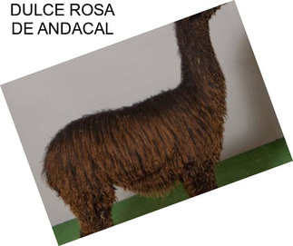 DULCE ROSA DE ANDACAL