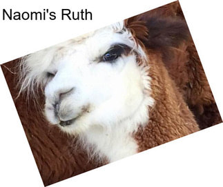 Naomi\'s Ruth