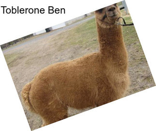 Toblerone Ben