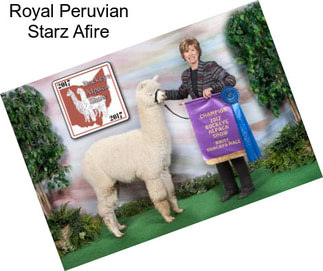 Royal Peruvian Starz Afire