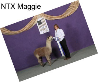 NTX Maggie