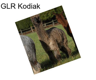 GLR Kodiak