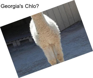 Georgia\'s Chlo?