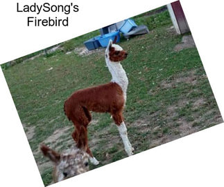 LadySong\'s Firebird