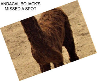 ANDACAL BOJACK\'S MISSED A SPOT