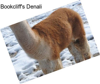 Bookcliff\'s Denali