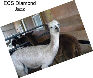 ECS Diamond Jazz