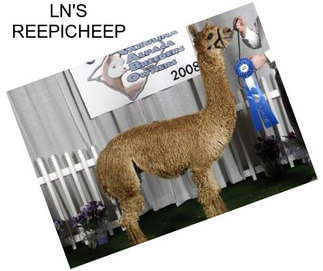 LN\'S REEPICHEEP