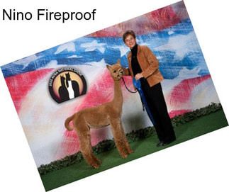 Nino Fireproof