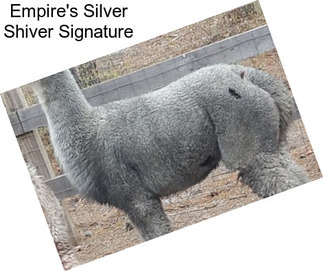 Empire\'s Silver Shiver Signature