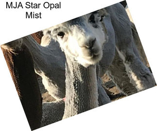 MJA Star Opal Mist