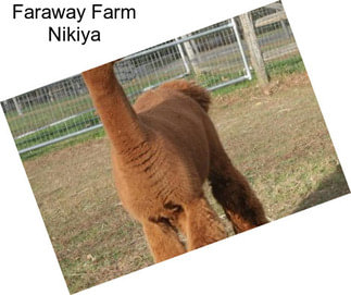 Faraway Farm Nikiya