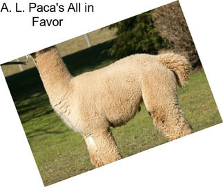 A. L. Paca\'s All in Favor